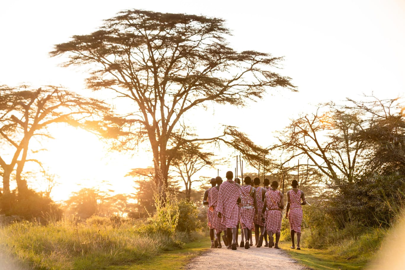 Merengeti Rhino Safari: Your Definitive Guide to Orchestrating a Kenya & Tanzania Safari