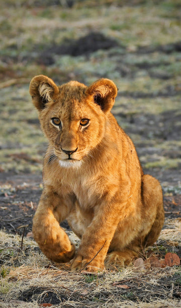 KENYA