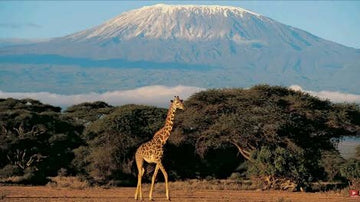 Tanzania Map