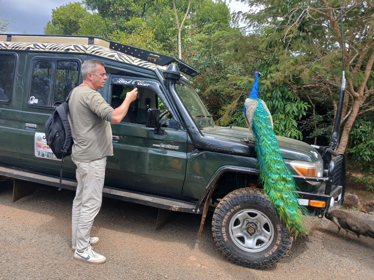 With our client’s permission, this photograph depicts an East African bird resting on the tourist vehicle during a game drive. The safari was professionally guided by our tour guide, Duncan.