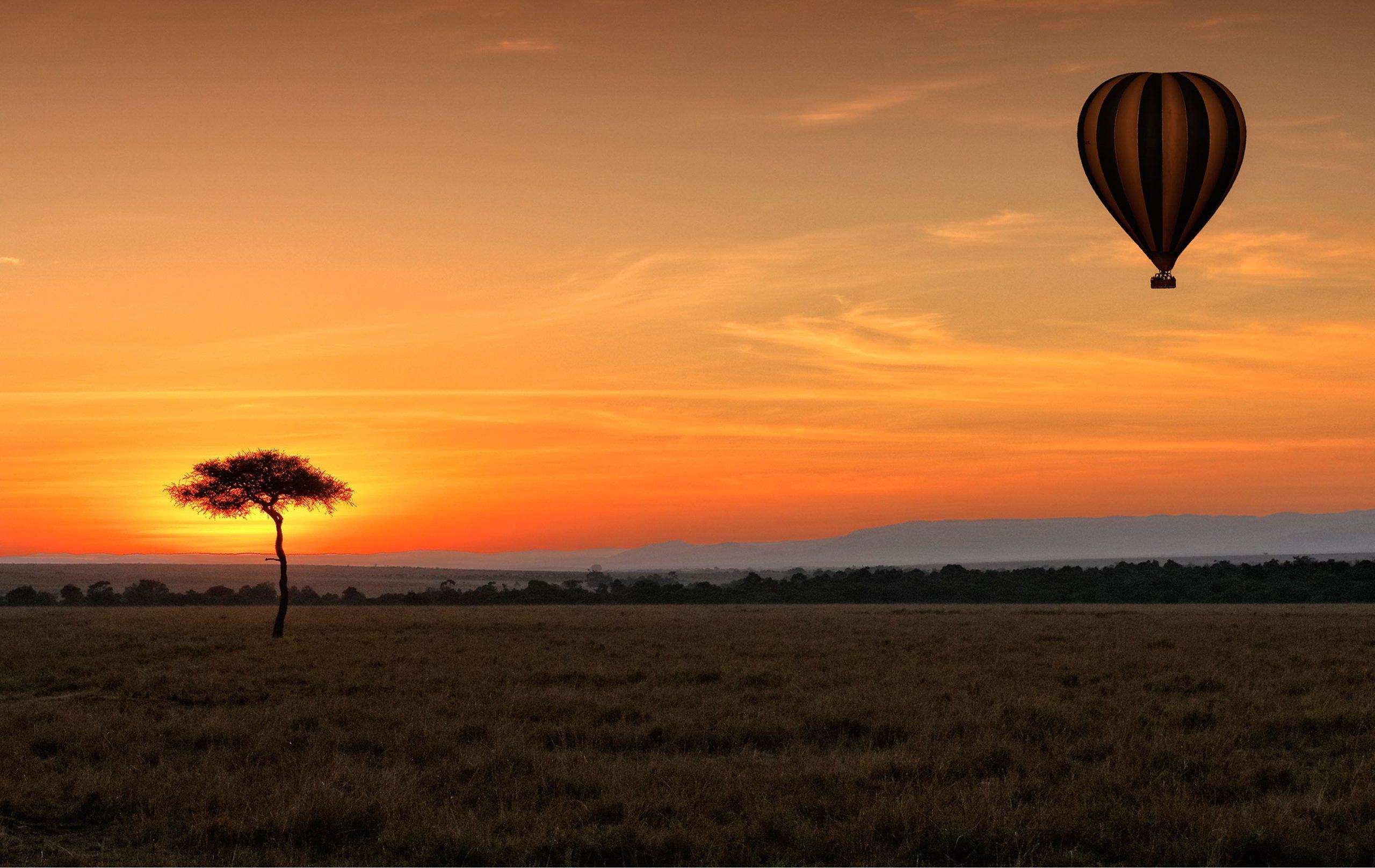 7 days Wings over the Wilderness Safari 2026 - Low Season