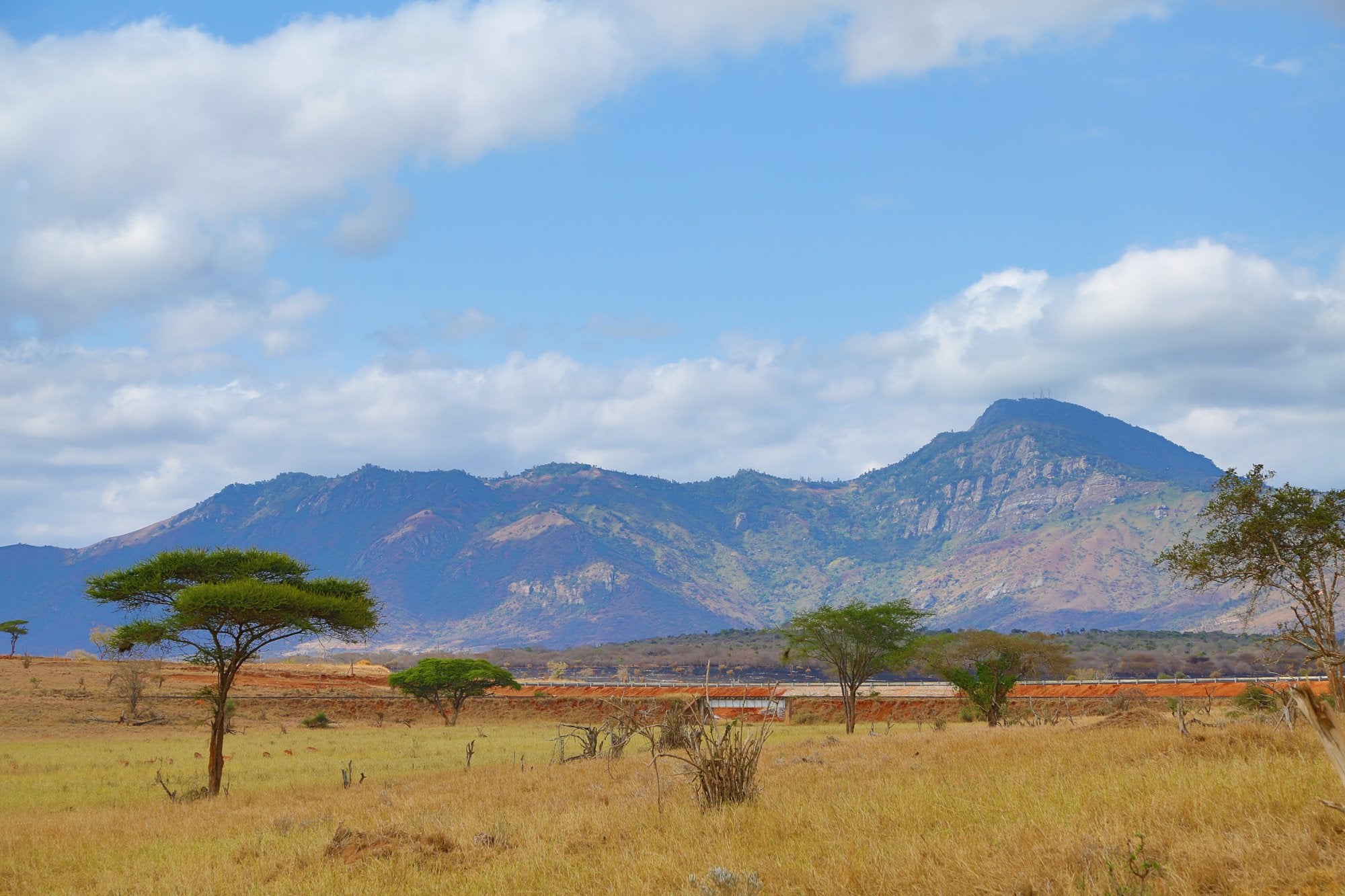 Salt Lick Safari Lodge - High Season Train Package 2026 | World's Most Photographed Lodge