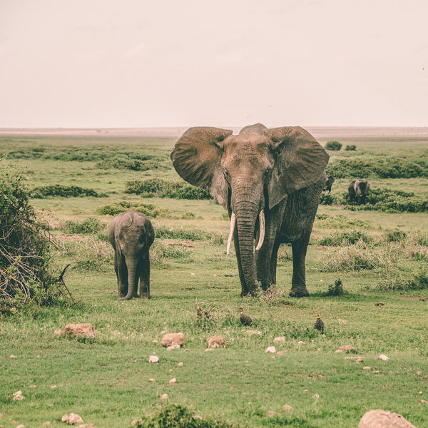 Serengeti National Park
