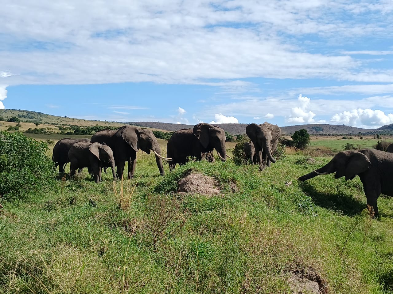 Heritage Hotels Luxury Safari