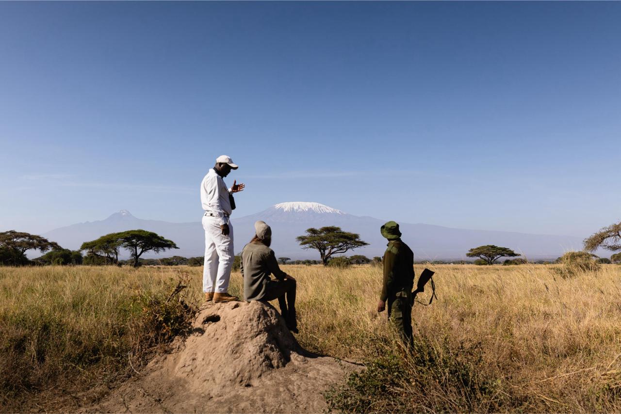
A professionally guided safari walk led by expert game rangers through the wilderness.