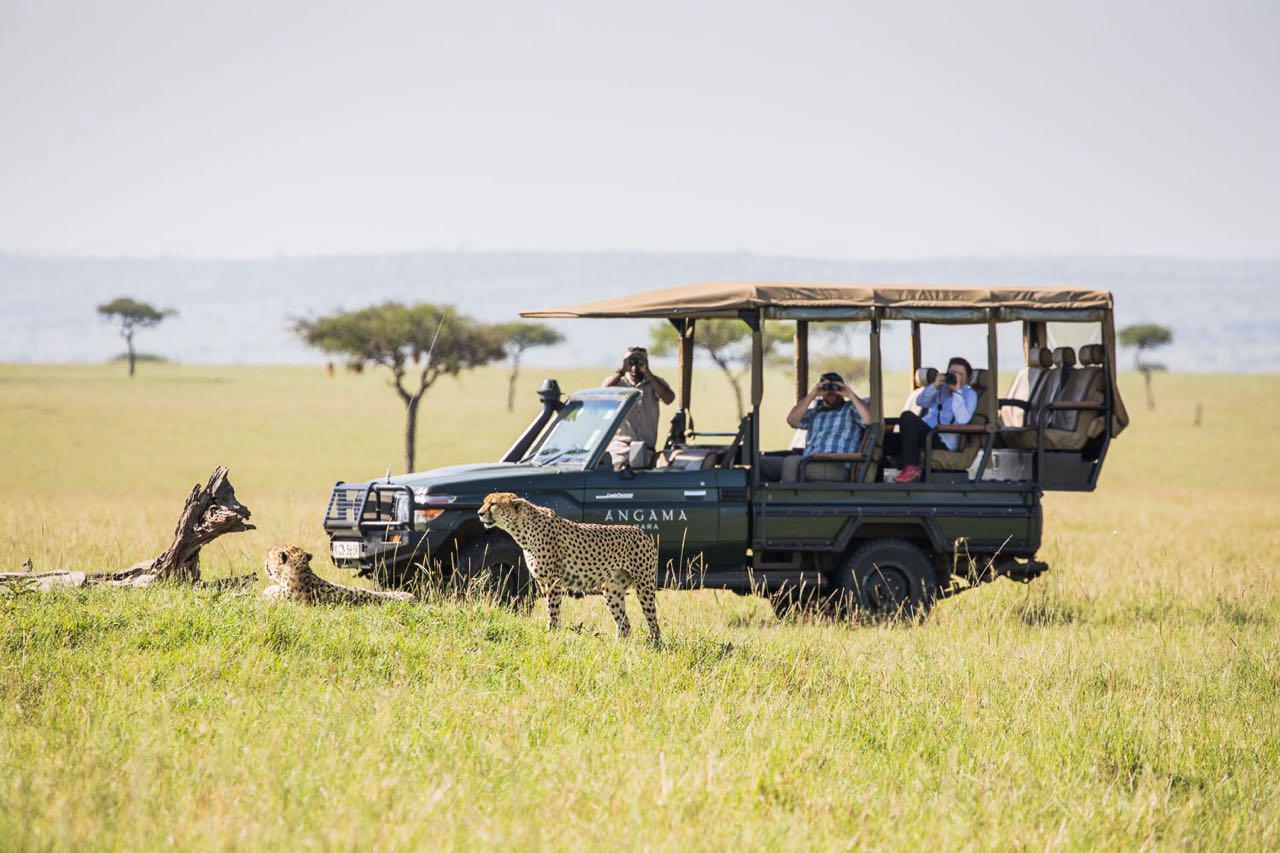 Simba Safari - 8 Days Kenya Road Safari