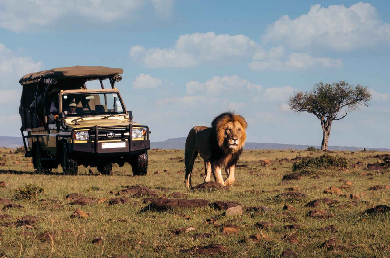 Luxury Safari Tour Package