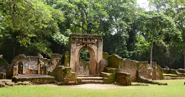 The Historic Town of Gedi