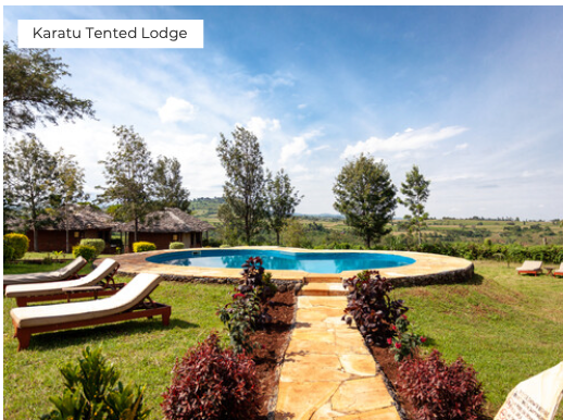 Pool area with lounge chairs and trees at Karatu Tented Lodge