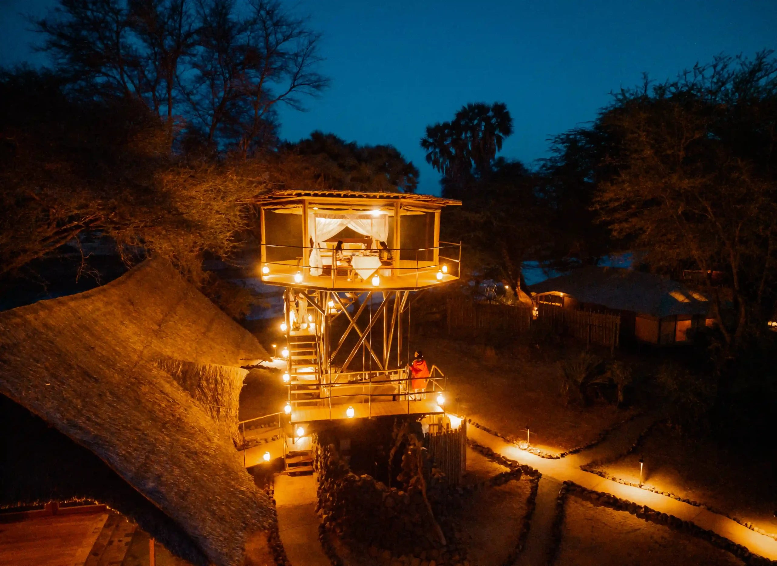 7 days Wings over the Wilderness Safari 2026 - Peak Season