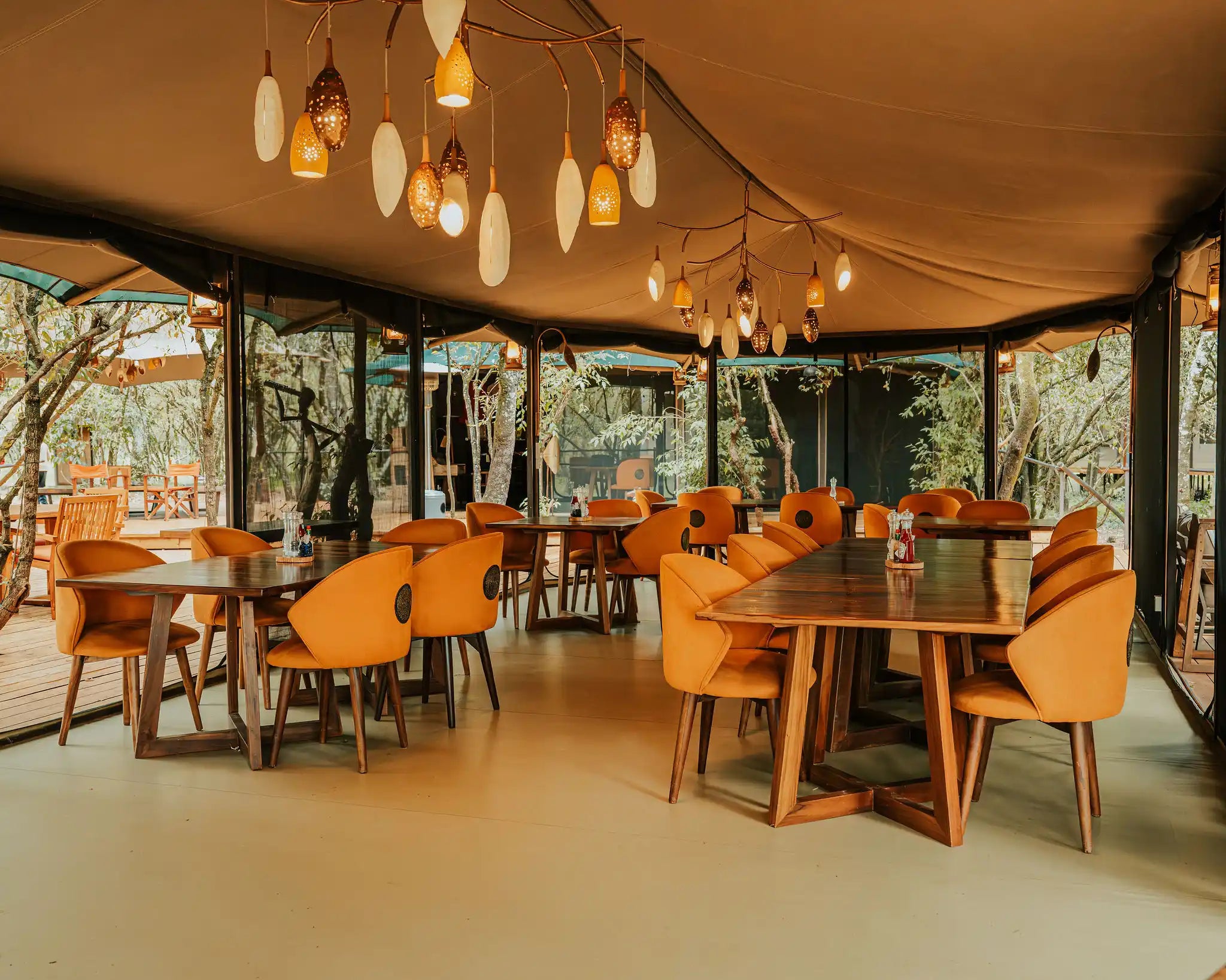 7 days Wings over the Wilderness Safari 2026 - Low Season