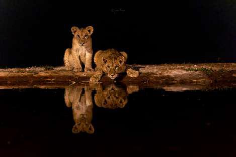 Soroi Kenya Luxury Safari Package