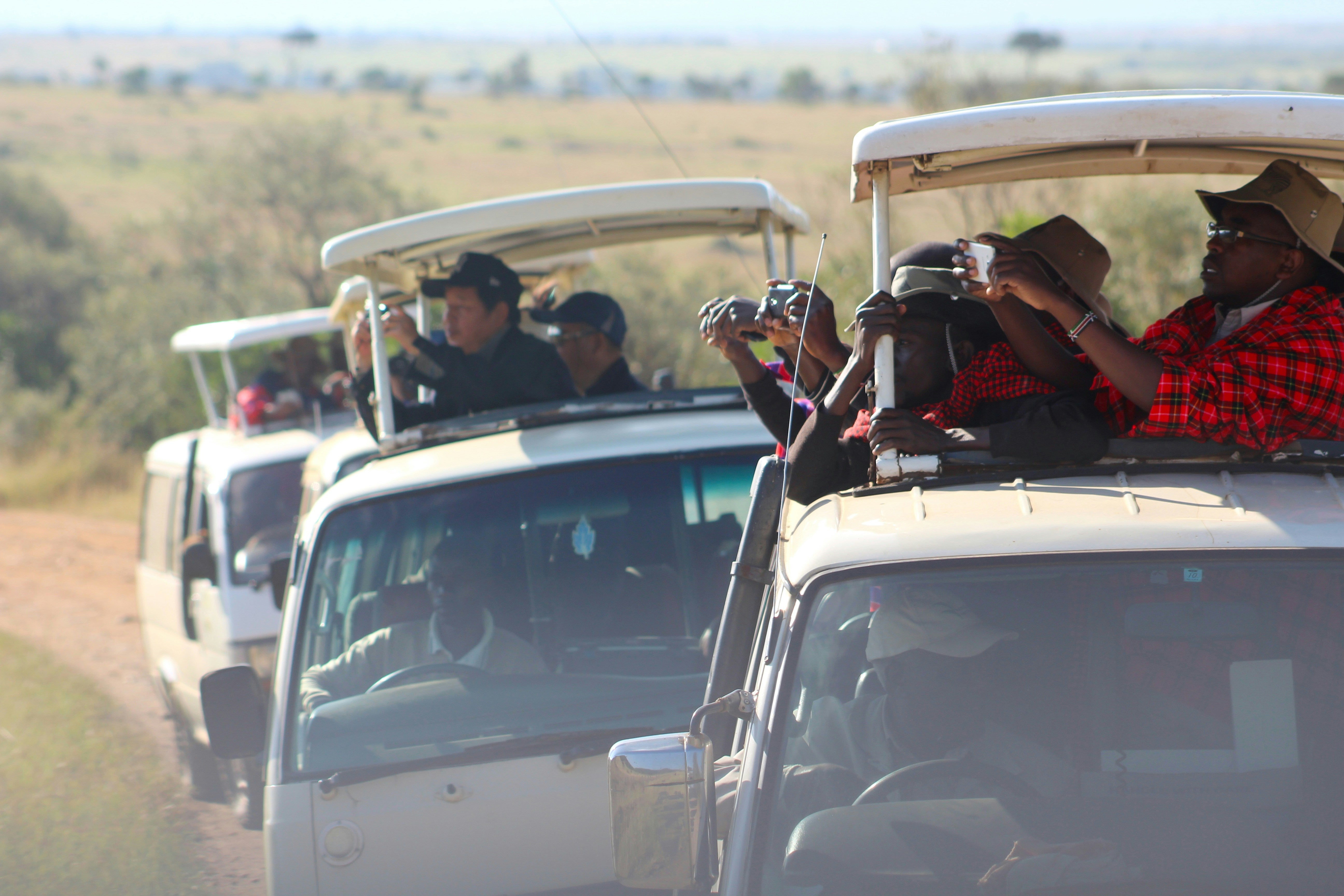 5 days Wings over the Wilderness Safari 2026 - Peak Season
