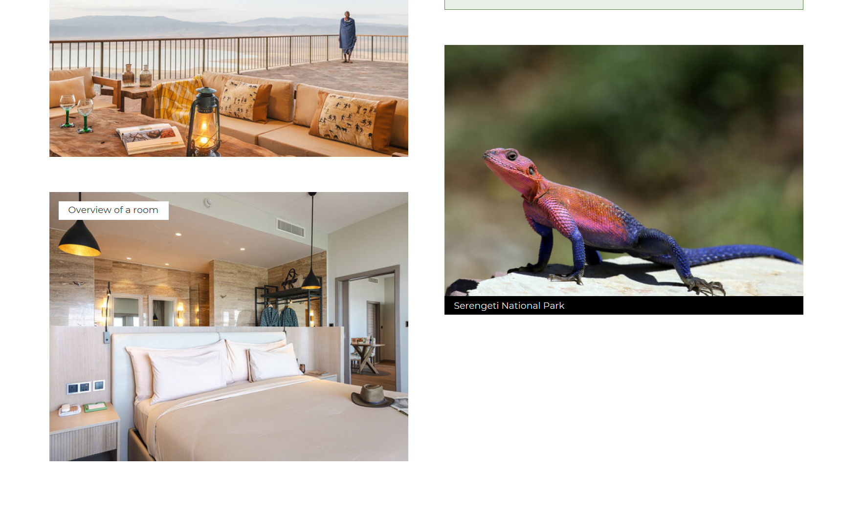  Ngorongoro Lodge Melia Collection a hotel room, a bedroom, and a lizard on a rock.