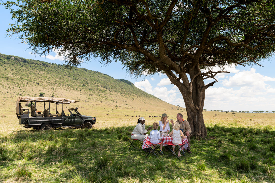 Family Picnic in the Maasai Mara on Safari