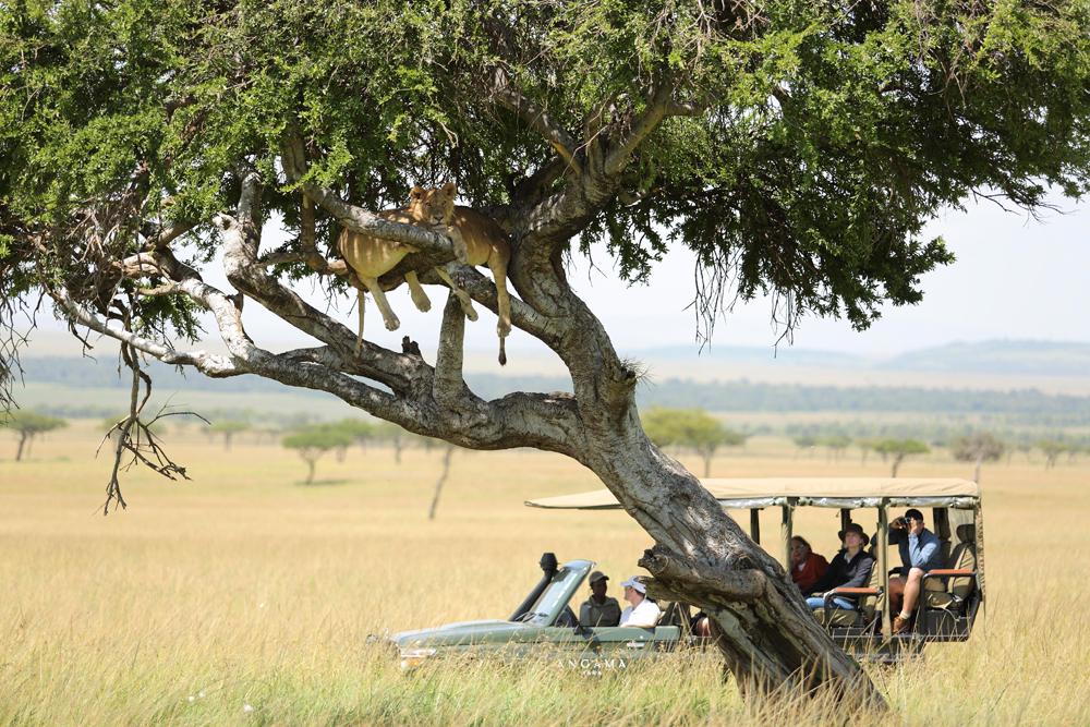 Luxury Safari Experience - Kiboko