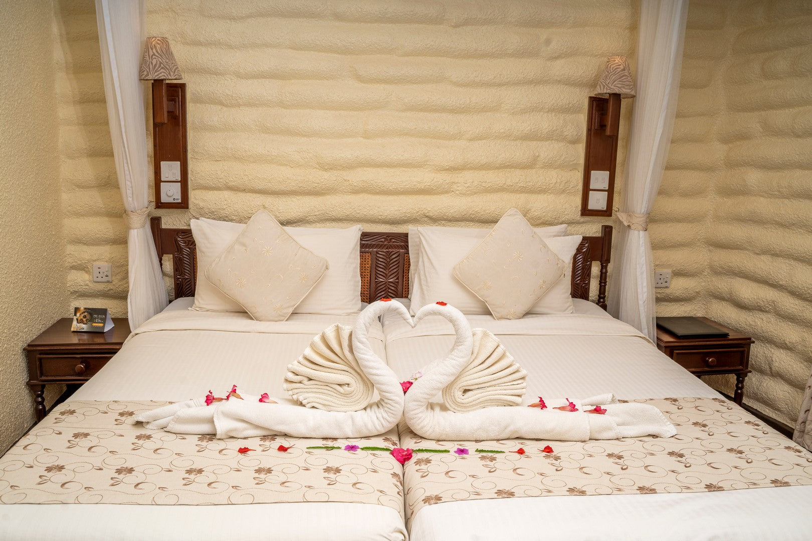 Salt Lick Safari Lodge - High Season Train Package 2026 | World's Most Photographed Lodge