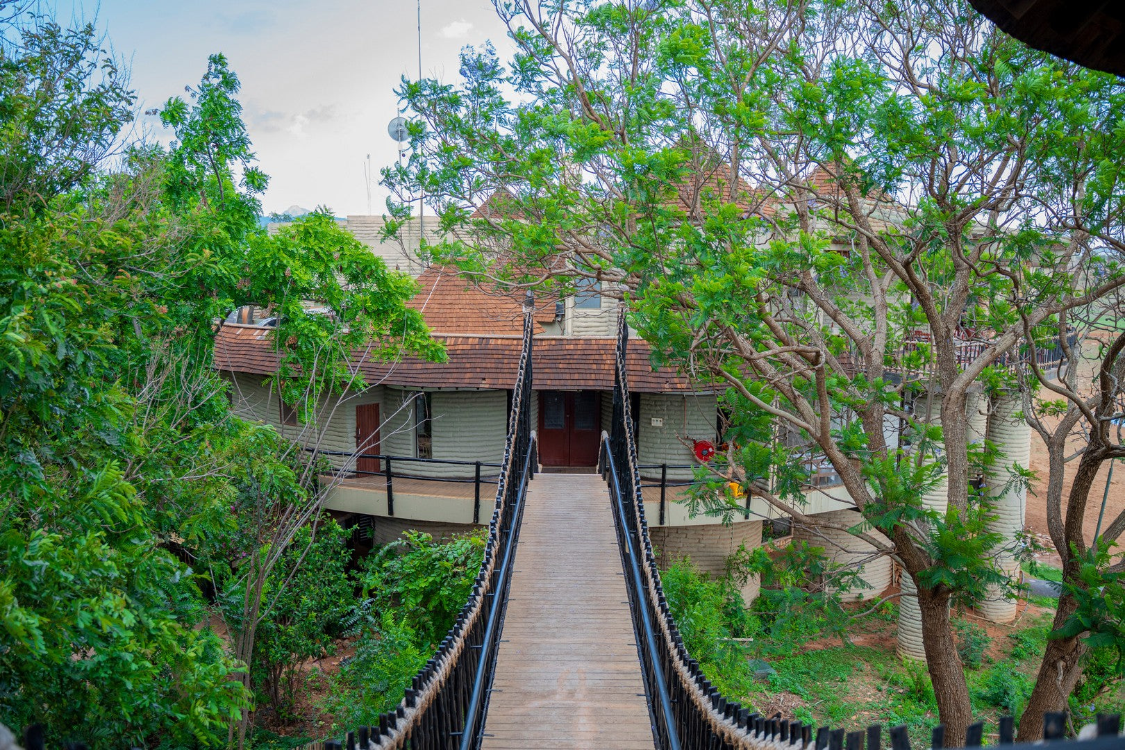 Salt Lick Safari Lodge - Green Season Train Package 2026 | World's Most Photographed Lodge