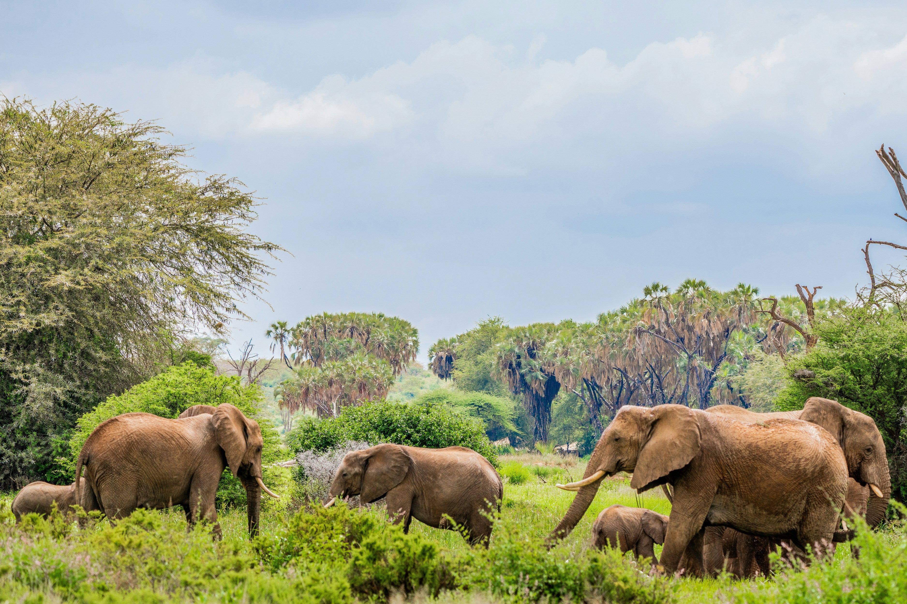 7 days Wings over the Wilderness Safari 2026 - Low Season