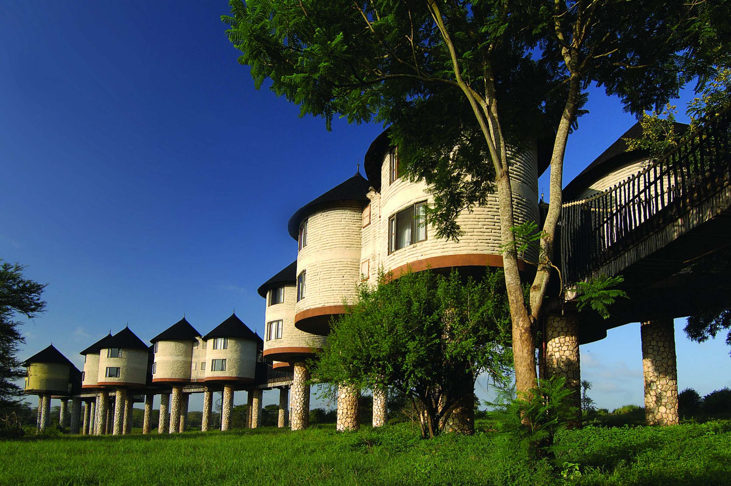 Salt Lick Safari Lodge - High Season Train Package 2026 | World's Most Photographed Lodge