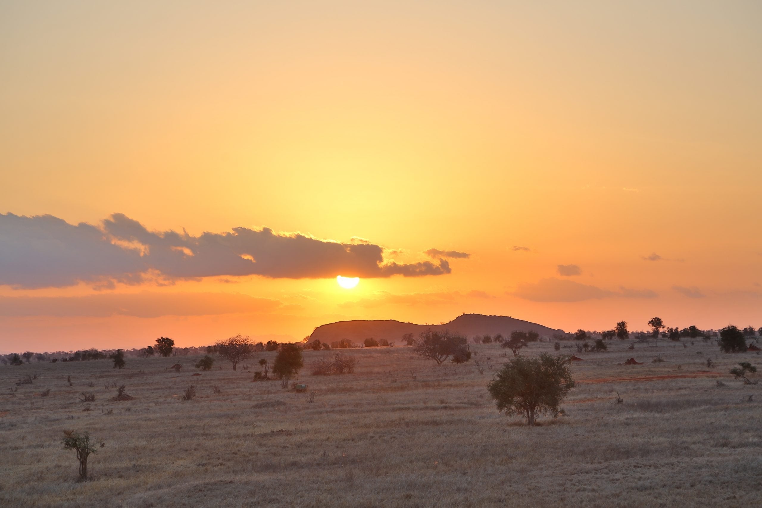 Salt Lick Safari Lodge - Green Season Train Package 2026 | World's Most Photographed Lodge