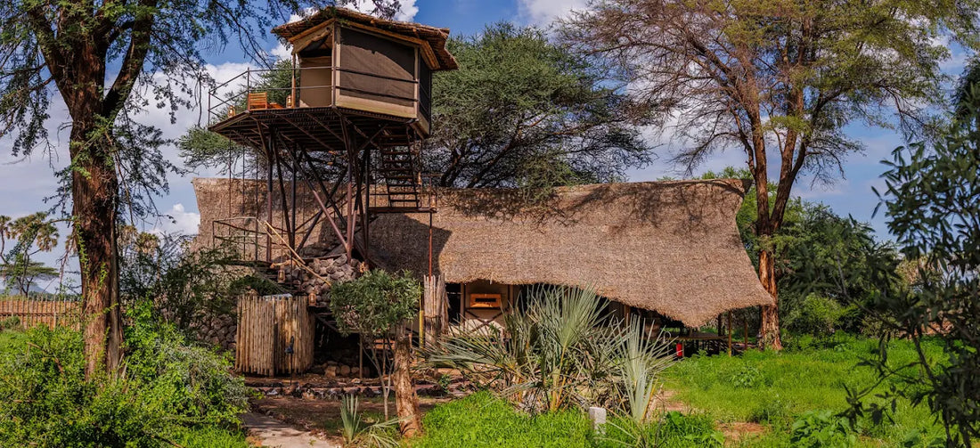 Kenya Luxury Safari