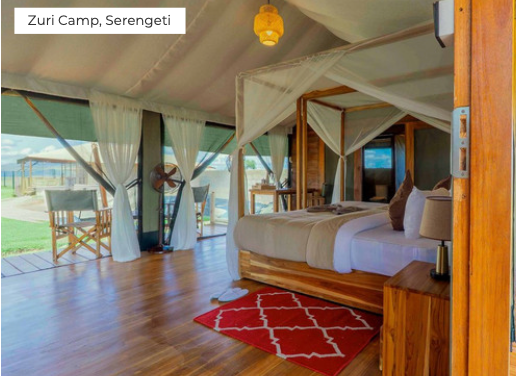 Tented room with wooden floor and red rug at Zuri Camp, Serengeti