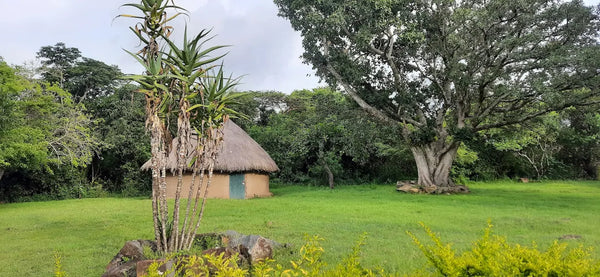 Thimlich Ohinga Archaeological Site