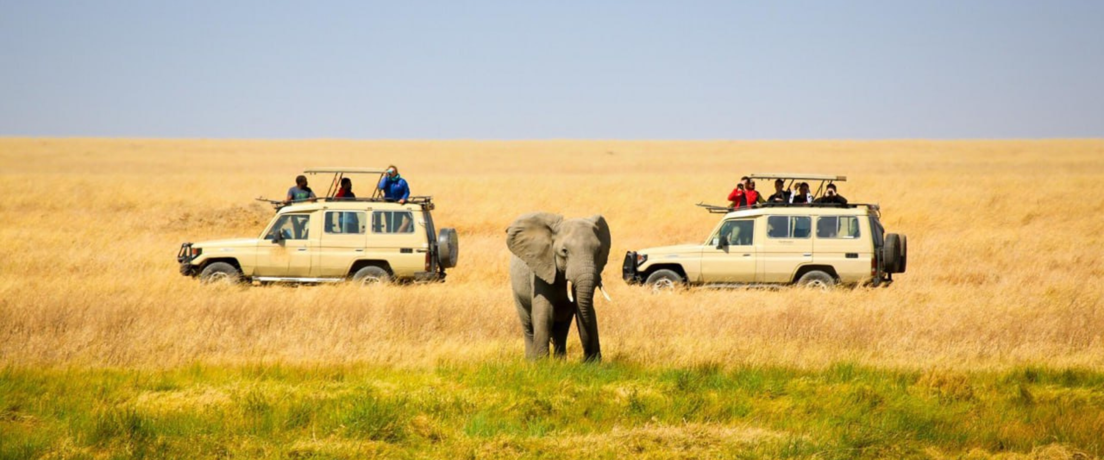 slider image slider_item_nJPkHt