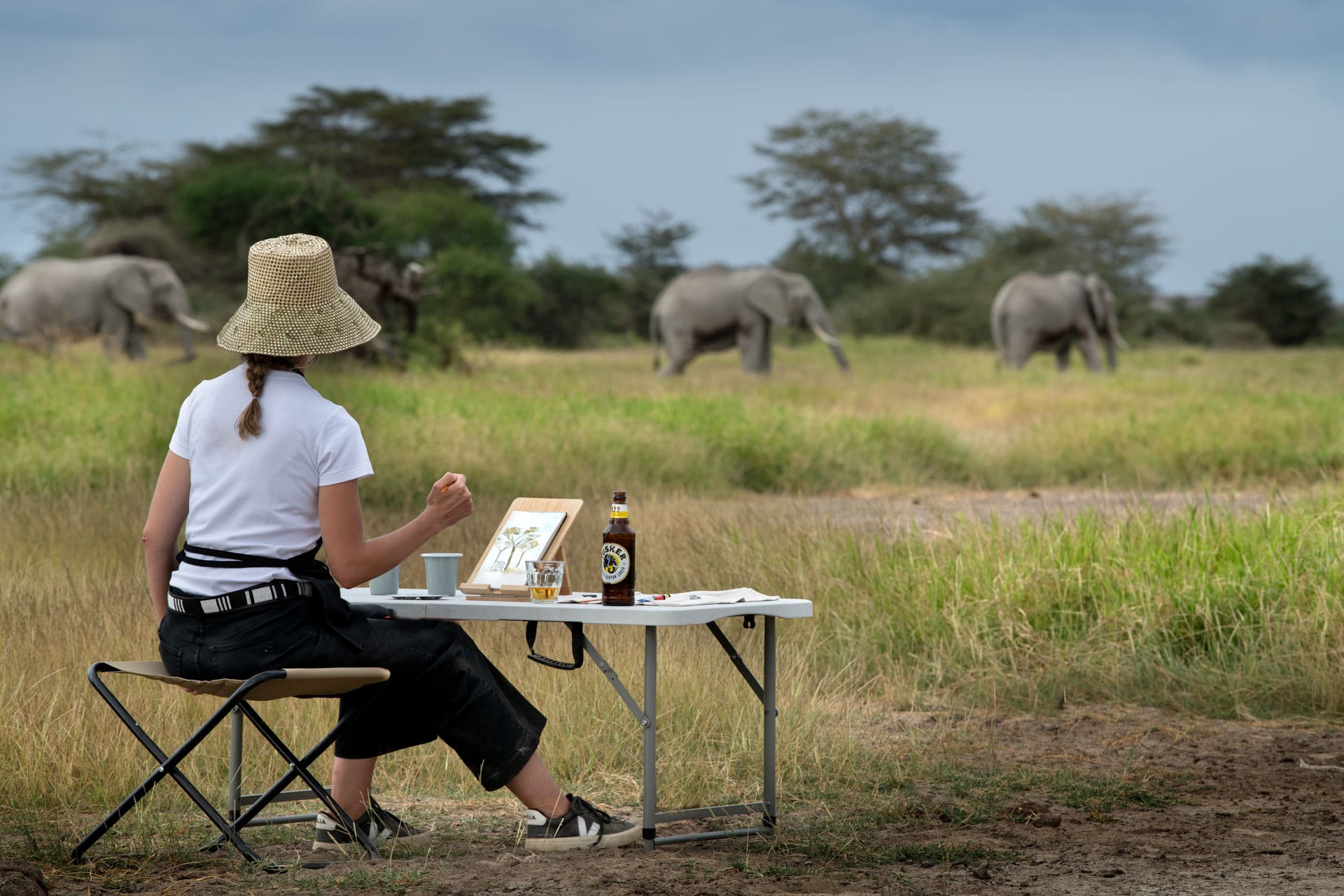 Person painting outdoors with elephants in the background