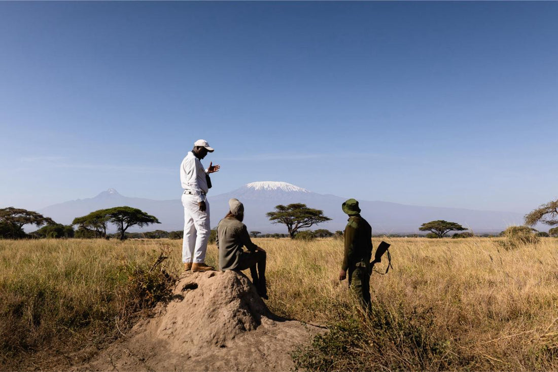 Elephants and zebras in a savanna landscape at Tsavo National Park